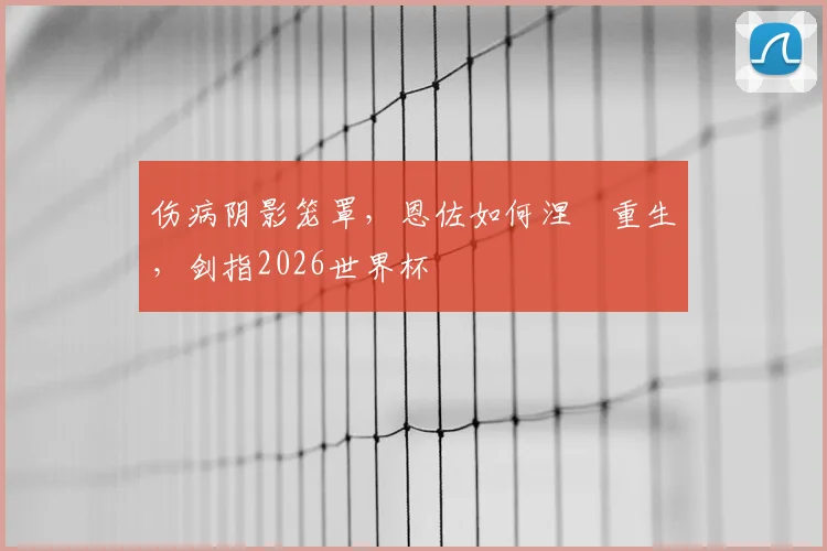 伤病阴影笼罩，恩佐如何涅槃重生，剑指2026世界杯